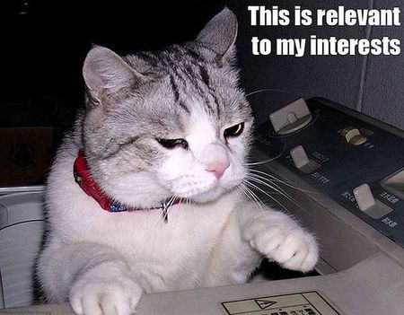 When you get your first good look - Lolcats - lol, cat memes, funny cats, funny cat pictures with words on them, funny pictures, lol cat memes