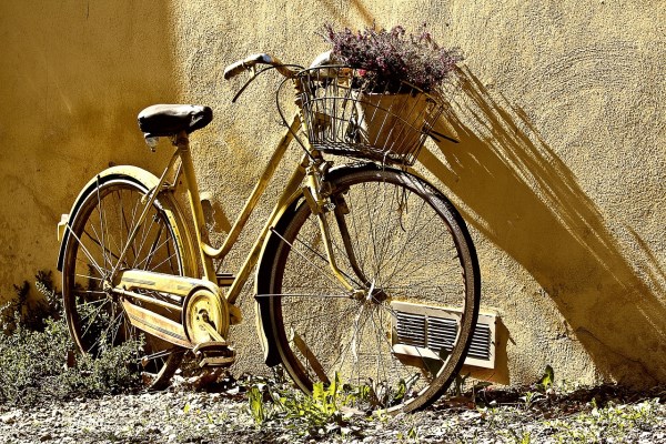 Girls For bicycles in Sydney