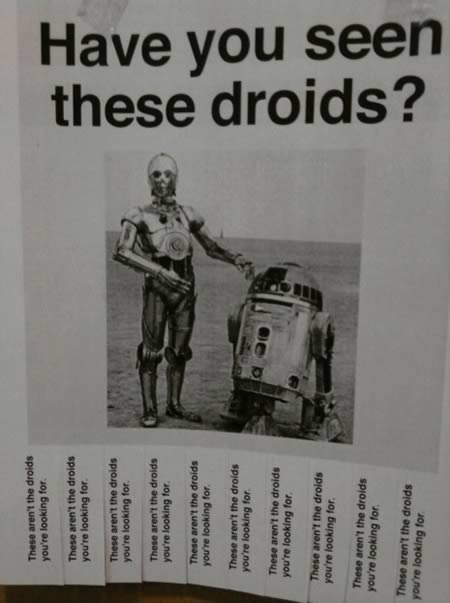 17 funniest and mostly