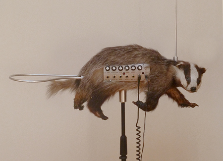 9 Strangest Musical Instruments unusual musical instruments weird musical instruments Oddee