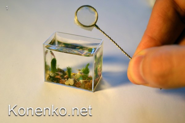 Cool aquariums on sale