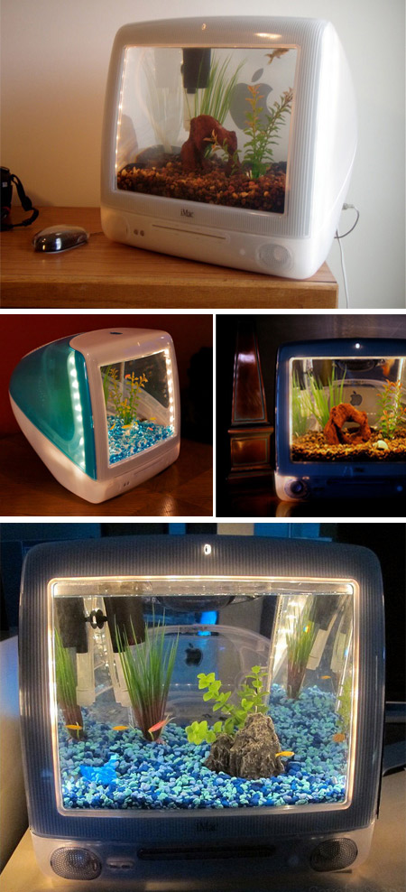 Another 12 of the Coolest Aquariums - cool aquariums, cool fish tanks