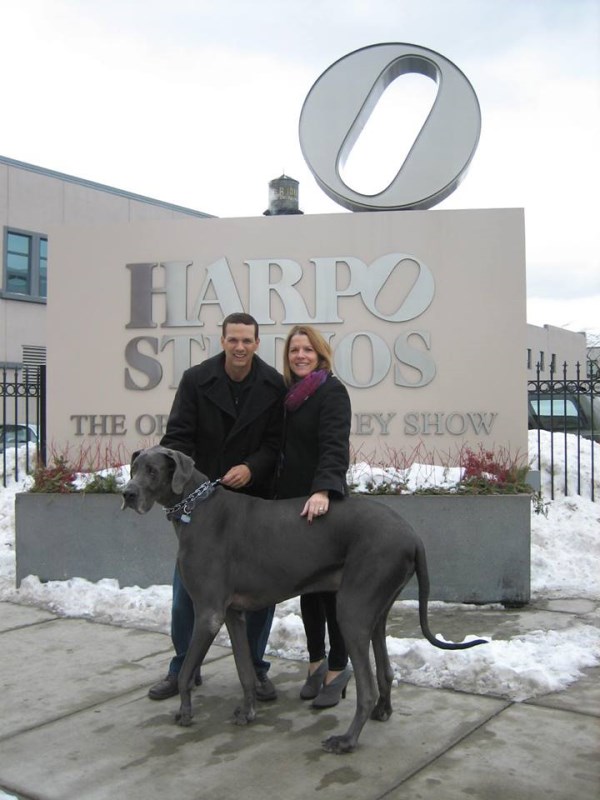 10 Of The World S Biggest Pets Oddee 10 Of The World S Biggest Pets Oddee
