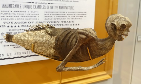 Image result for fiji mermaid missing link