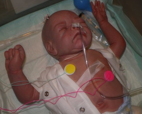 Reborn Baby Dolls: 9 Jaw Dropping Stories - Oddee