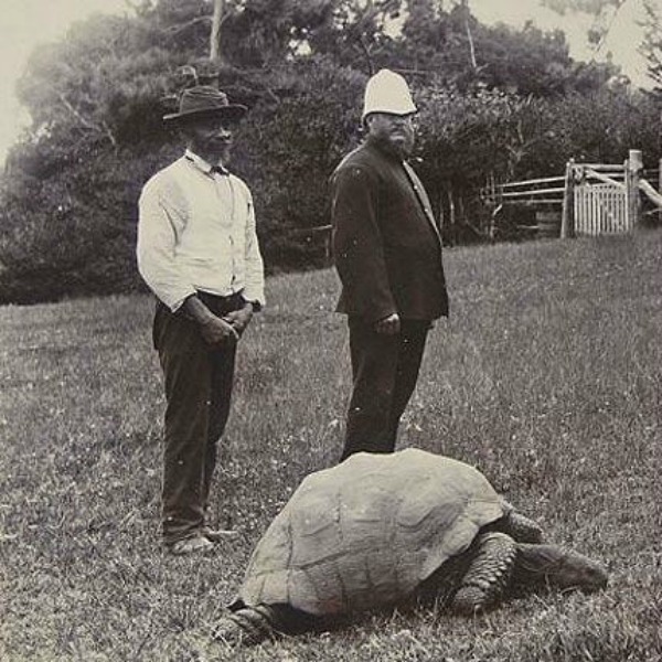 11 of the Oldest Animals on Earth - animals, pets, oldest, records, guinness - Oddee 11 of the Oldest Animals on Earth - animals, pets, oldest, records, guinness - Oddee