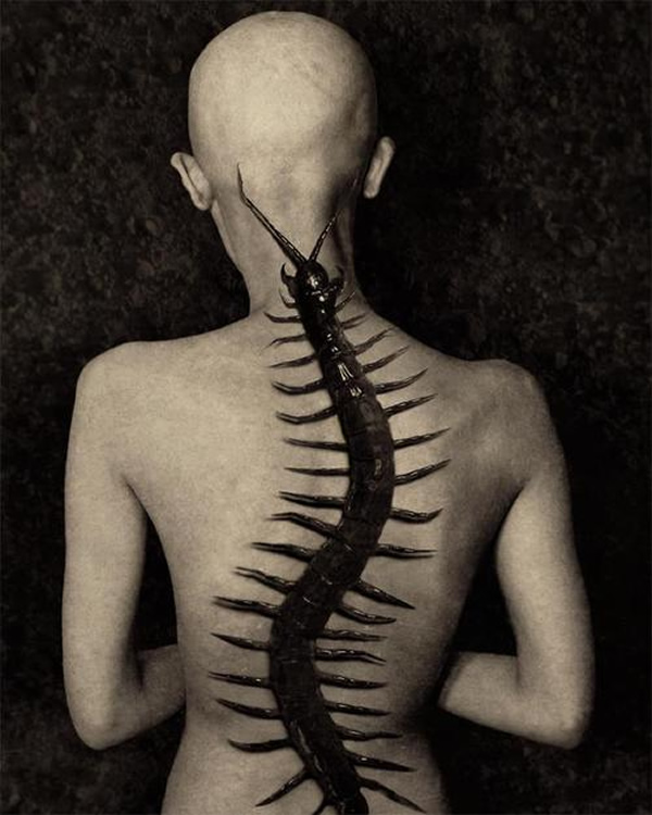 spine tattoo by modestdecay on DeviantArt
