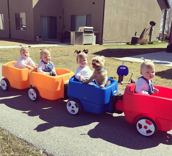 12 Cutest Photos Of Quadruplets And Quintuplets Oddee