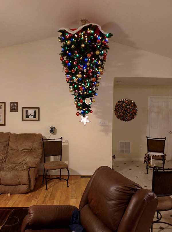 12 Hilarious Child And Pet Proof Christmas Trees Oddee
