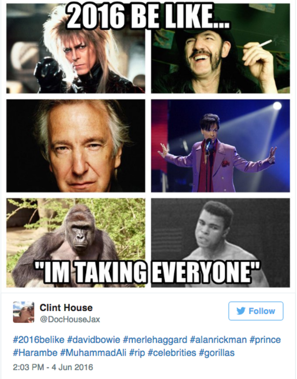 10 Hilarious End Of 2016 Memes - Oddee