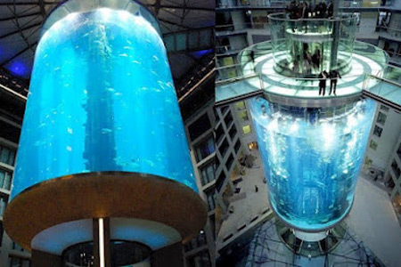 9 coolest aquariums oddee