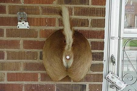 12 Most Creative Doorbells Funny Doorbells Cool Doorbells