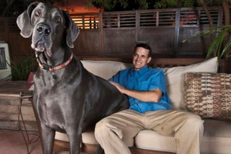 10 of the World's Biggest Pets - Oddee