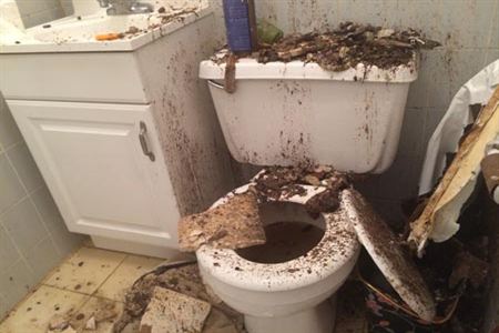 severely clogged toilet